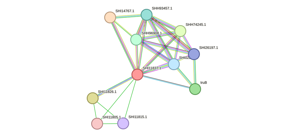 STRING protein interaction network