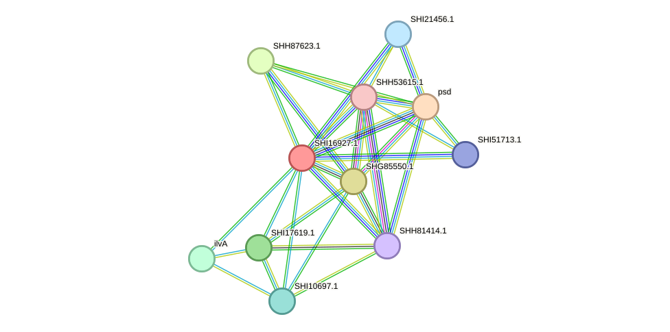 STRING protein interaction network