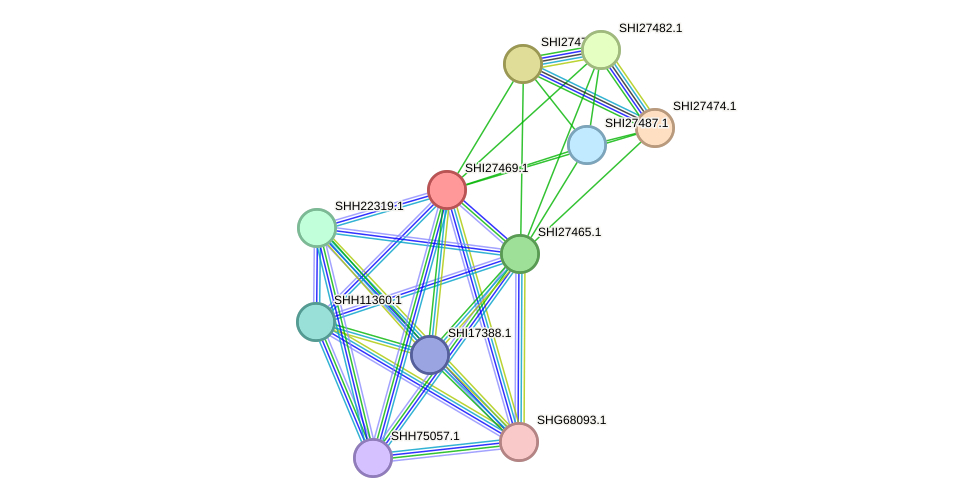 STRING protein interaction network