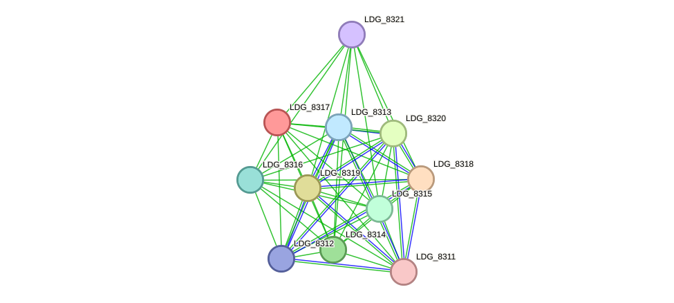 STRING protein interaction network