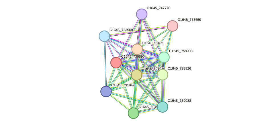 STRING protein interaction network