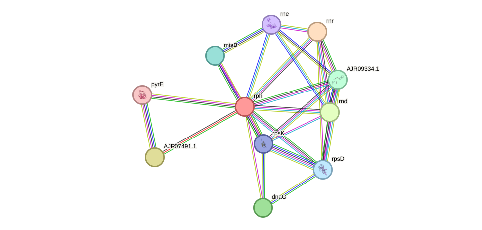 STRING protein interaction network