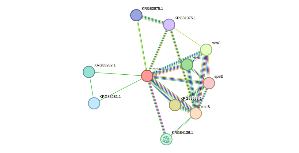 STRING protein interaction network