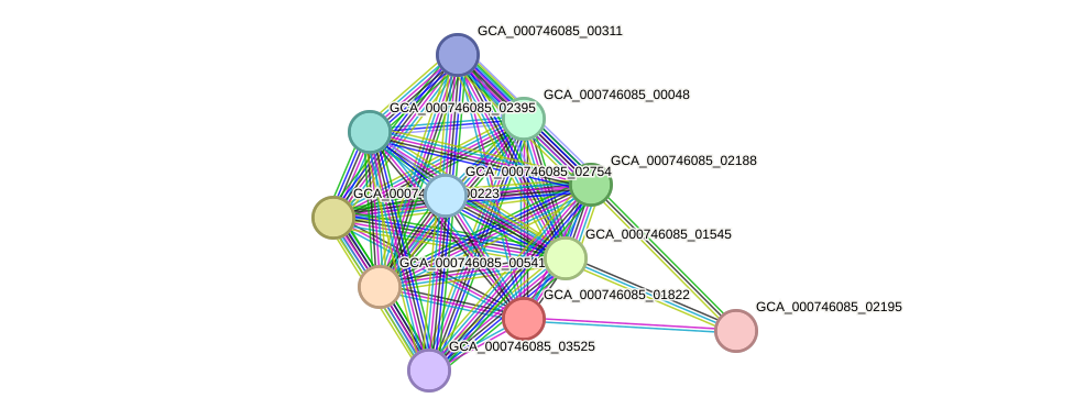 STRING protein interaction network