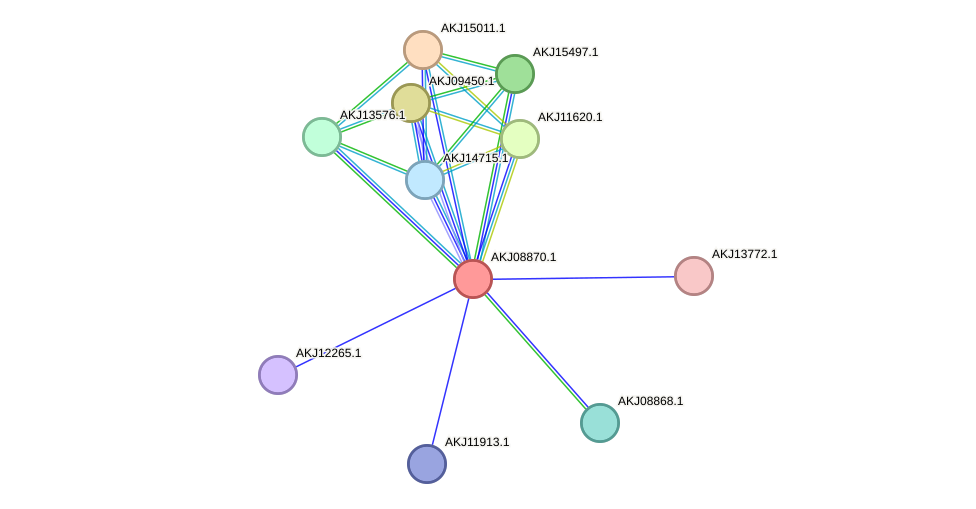 STRING protein interaction network