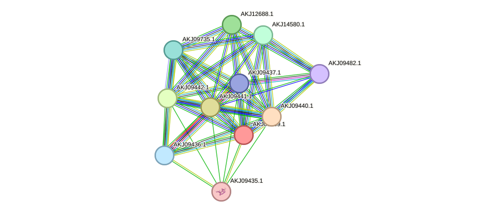 STRING protein interaction network