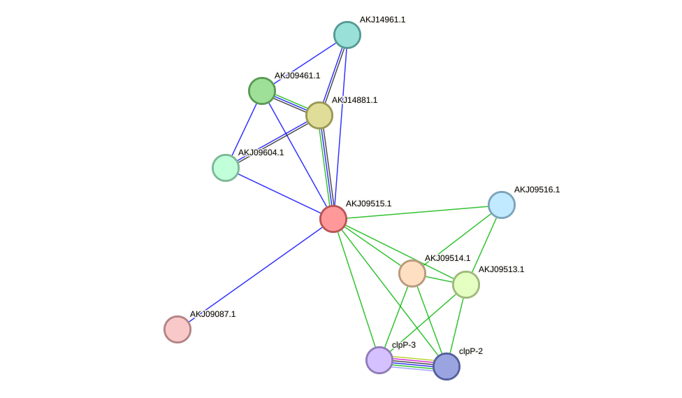 STRING protein interaction network