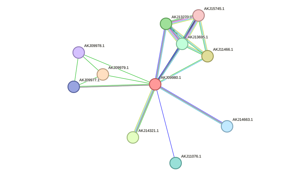 STRING protein interaction network