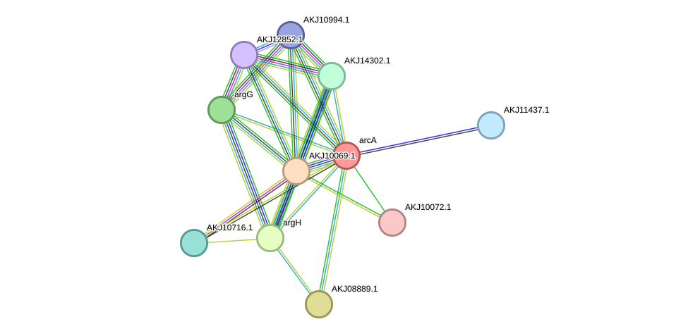 STRING protein interaction network