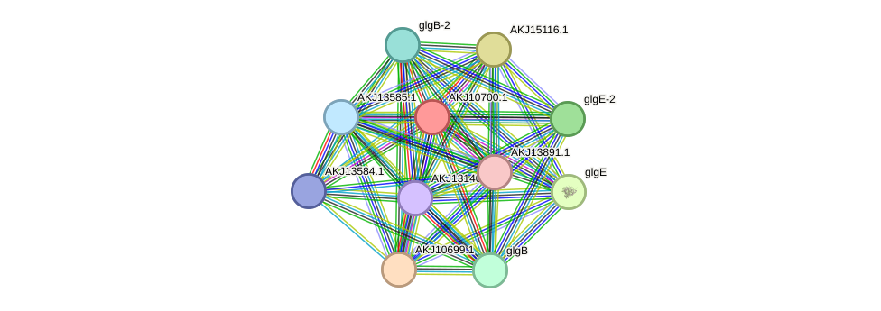 STRING protein interaction network