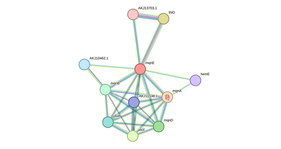 STRING protein interaction network