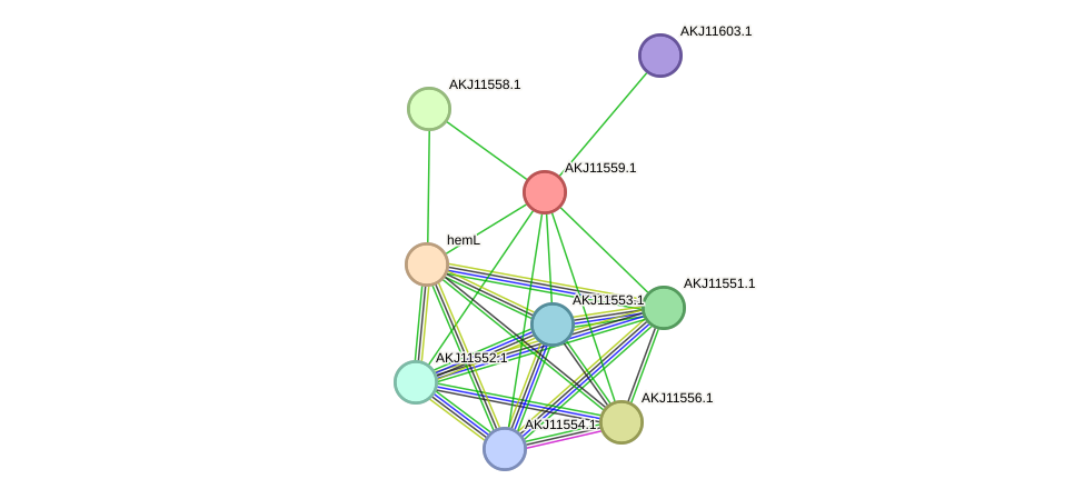 STRING protein interaction network