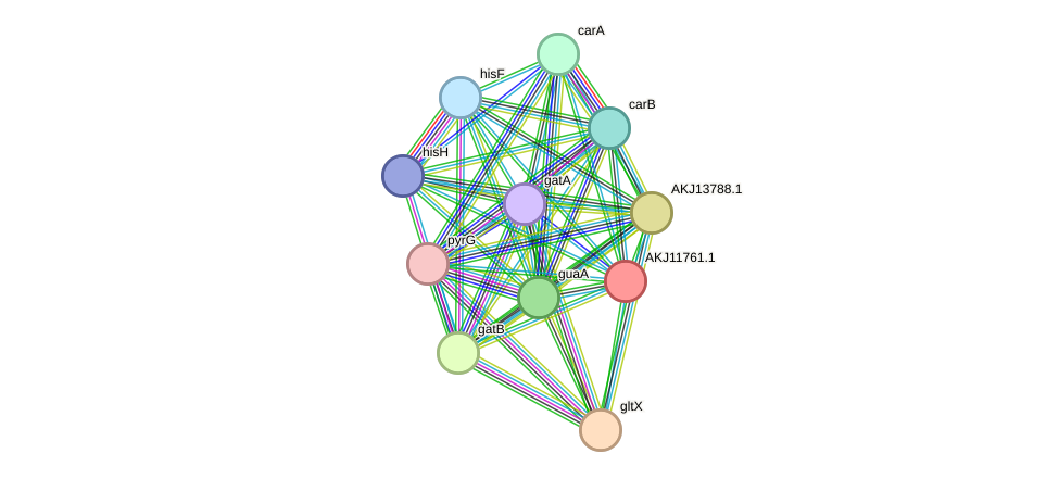 STRING protein interaction network