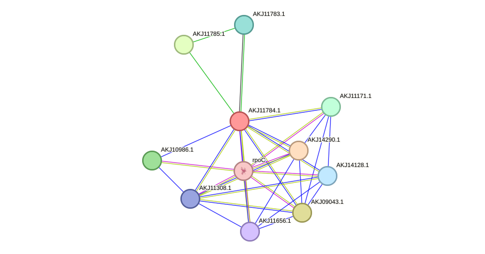 STRING protein interaction network