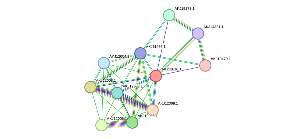 STRING protein interaction network