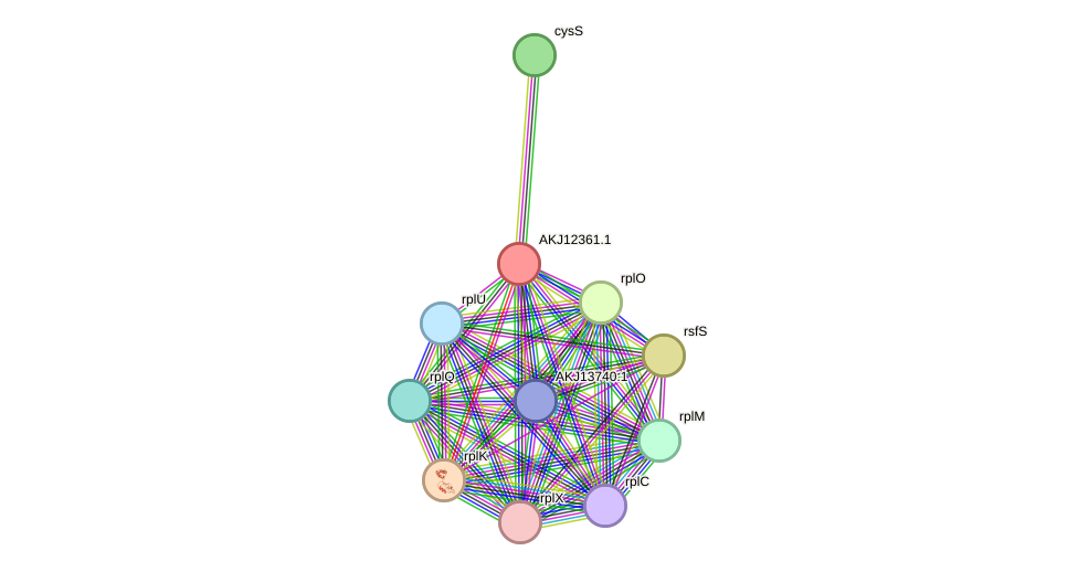 STRING protein interaction network