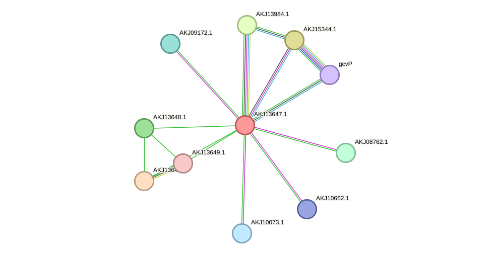 STRING protein interaction network