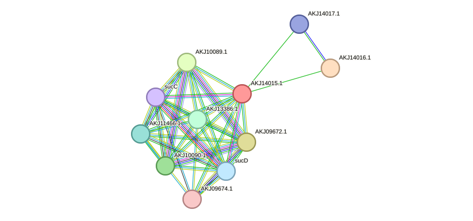 STRING protein interaction network