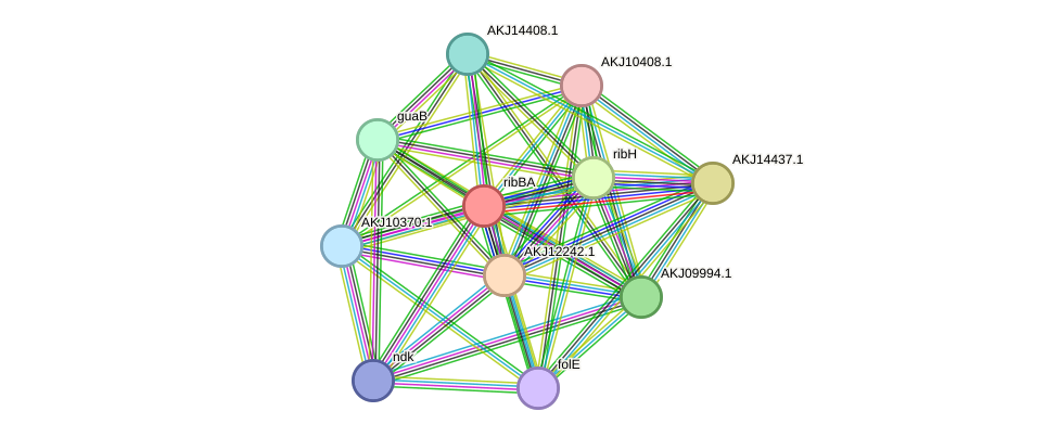 STRING protein interaction network