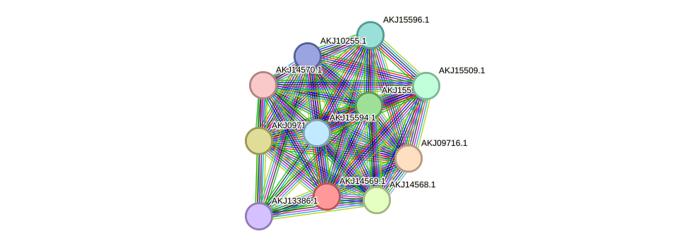 STRING protein interaction network