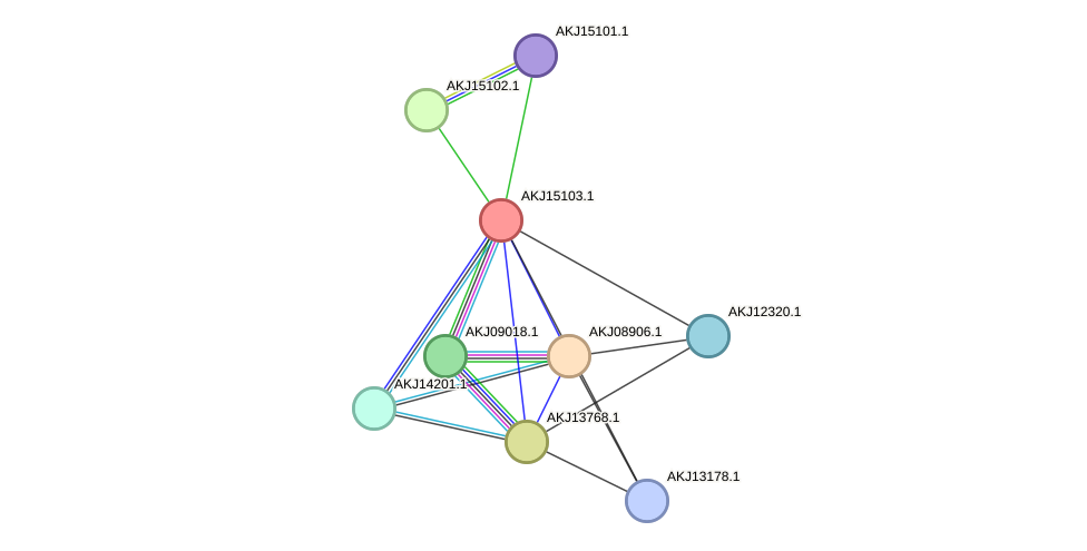 STRING protein interaction network