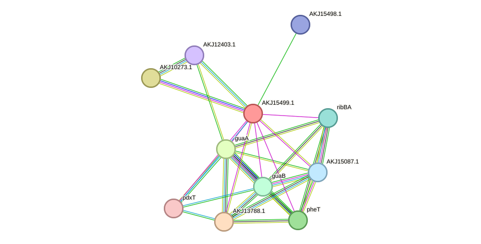 STRING protein interaction network