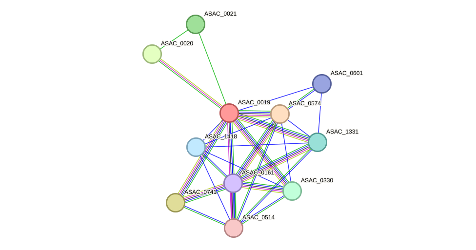 STRING protein interaction network