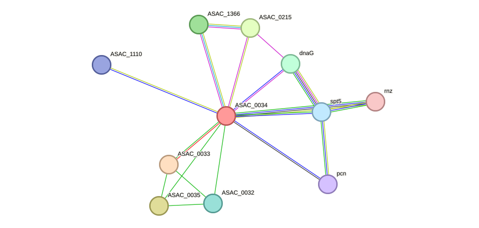 STRING protein interaction network