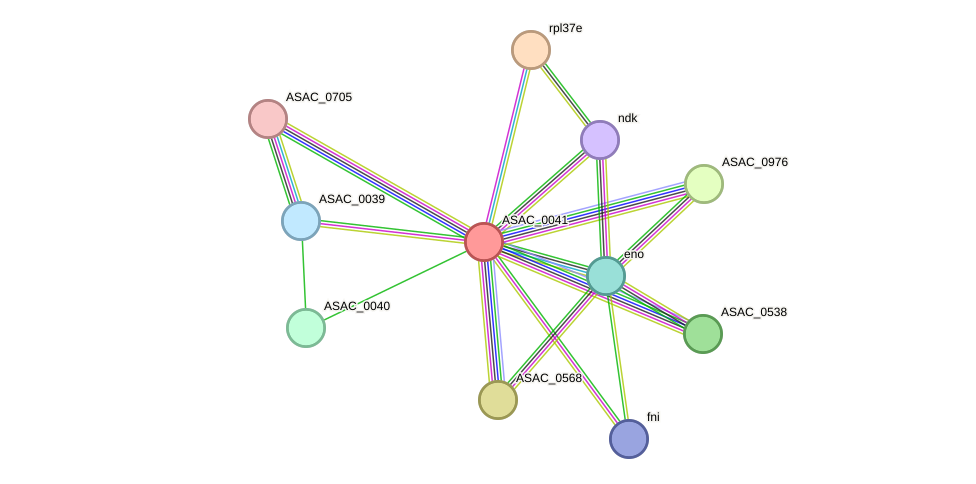 STRING protein interaction network