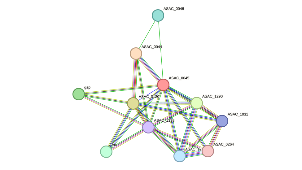 STRING protein interaction network