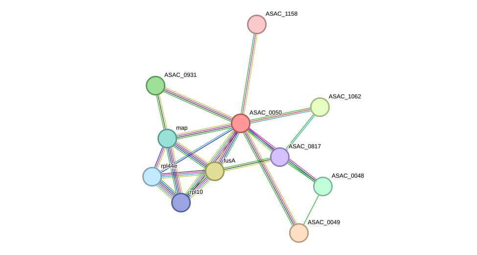 STRING protein interaction network
