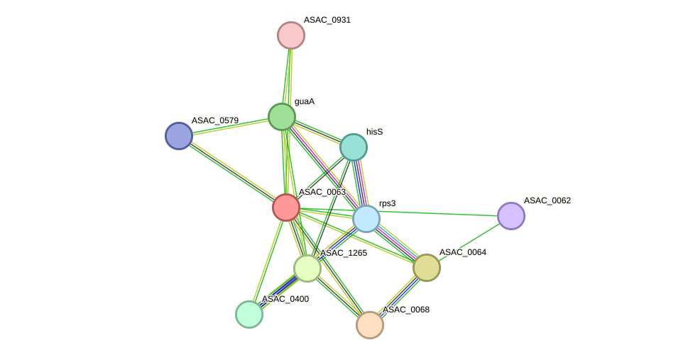 STRING protein interaction network