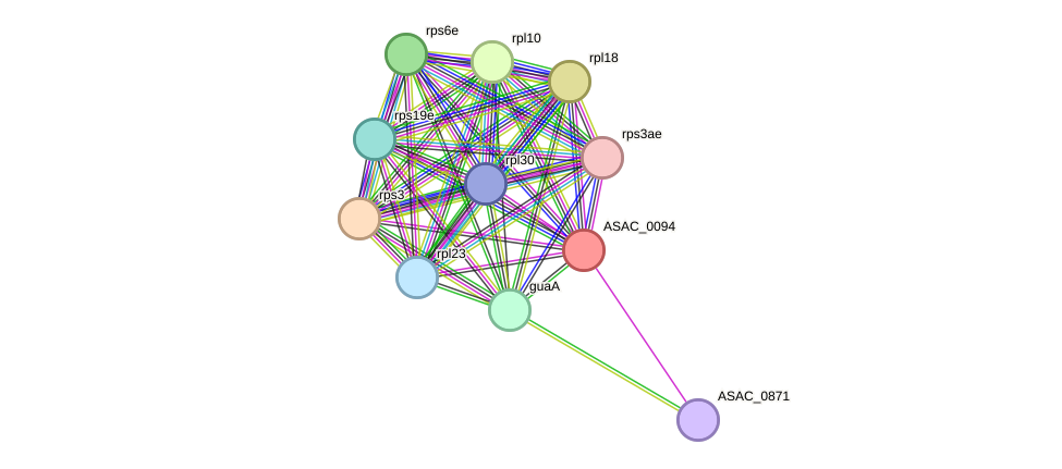 STRING protein interaction network