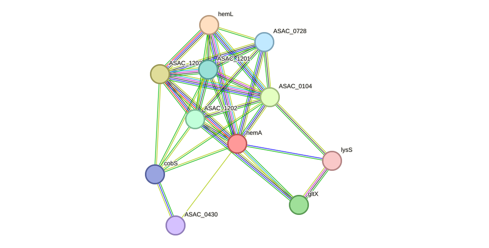 STRING protein interaction network