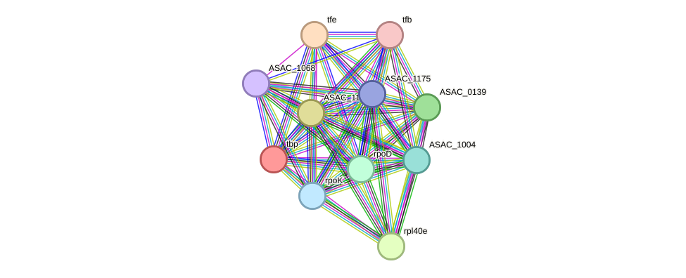 STRING protein interaction network
