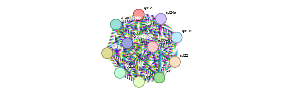 STRING protein interaction network