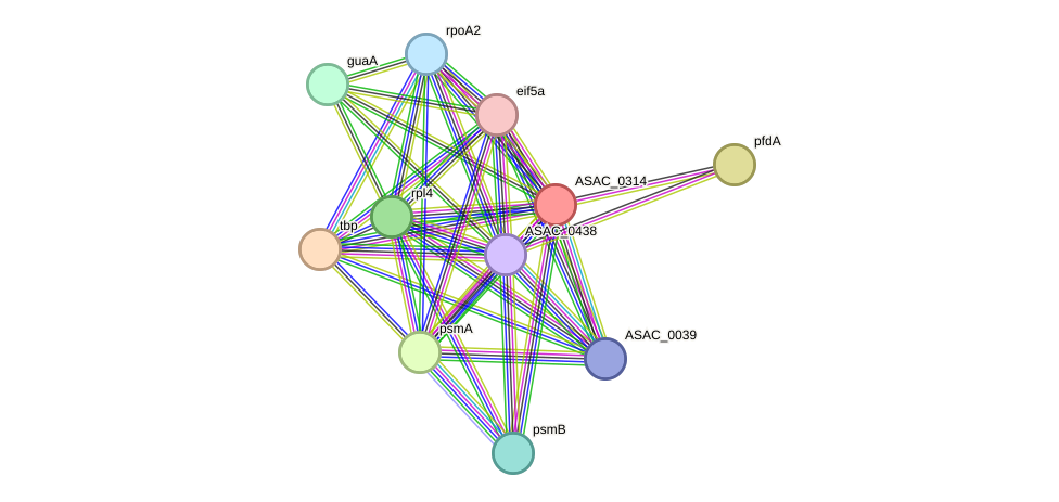 STRING protein interaction network