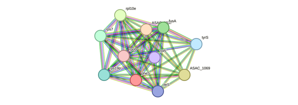 STRING protein interaction network