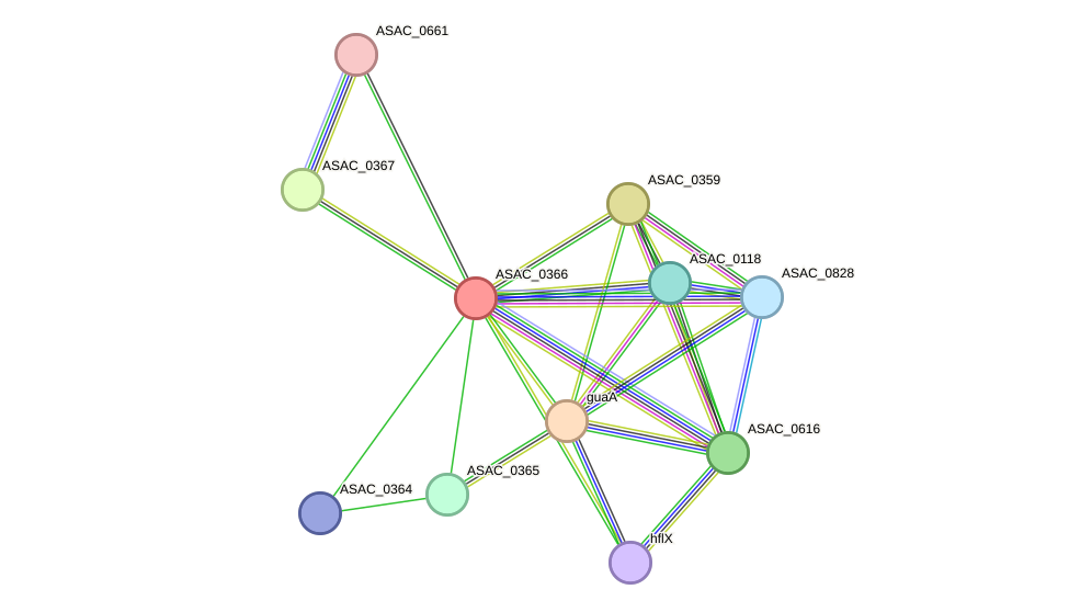 STRING protein interaction network