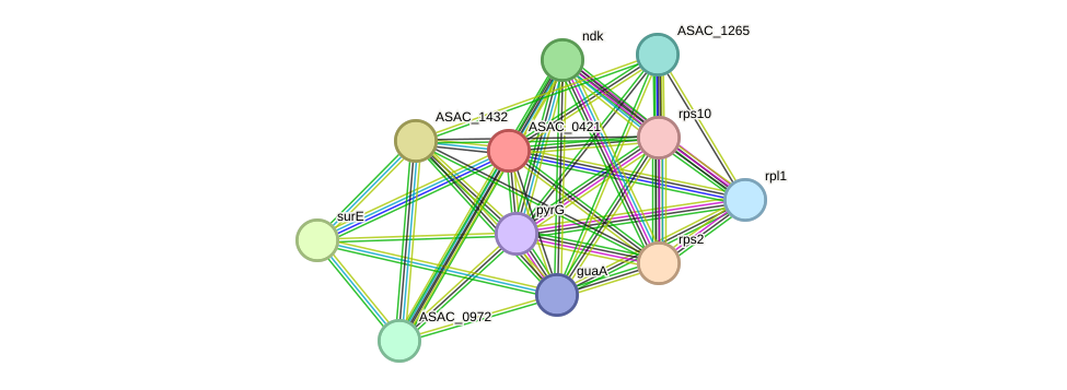 STRING protein interaction network