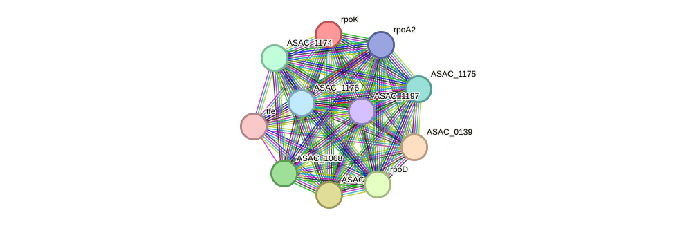 STRING protein interaction network