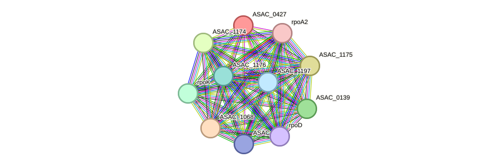 STRING protein interaction network