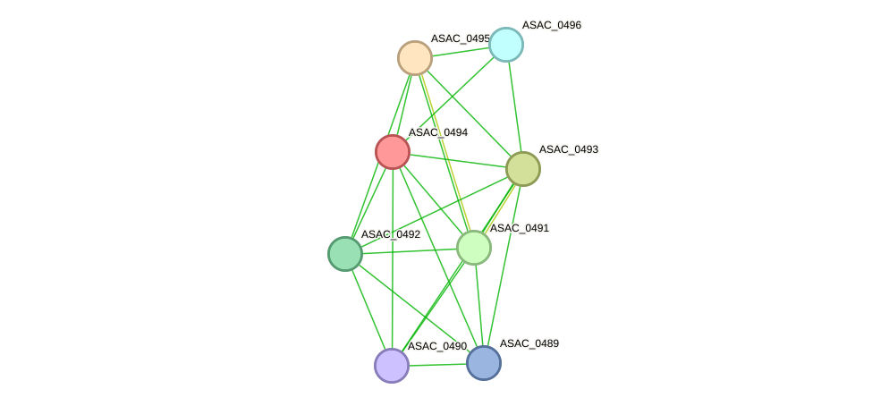 STRING protein interaction network