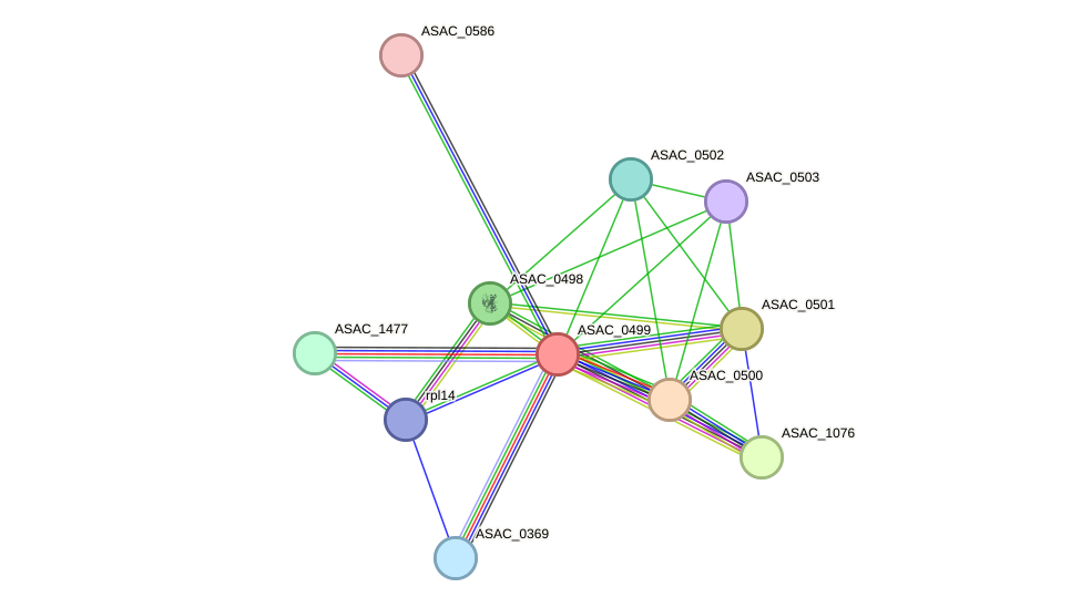 STRING protein interaction network
