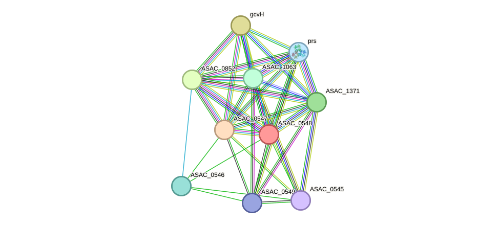 STRING protein interaction network
