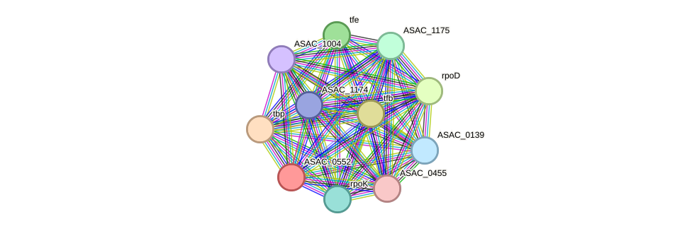 STRING protein interaction network