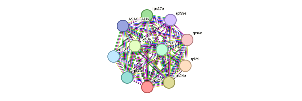 STRING protein interaction network