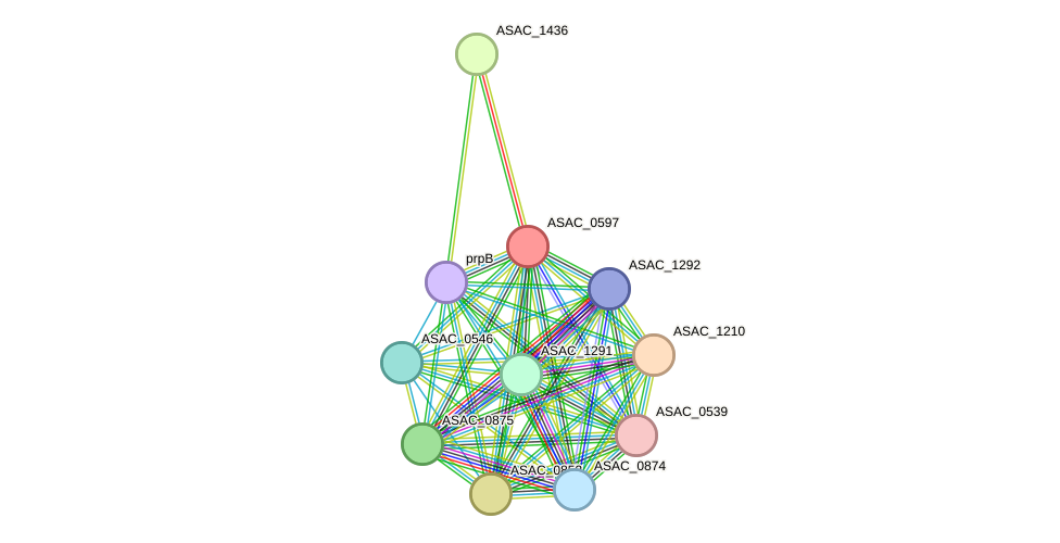 STRING protein interaction network