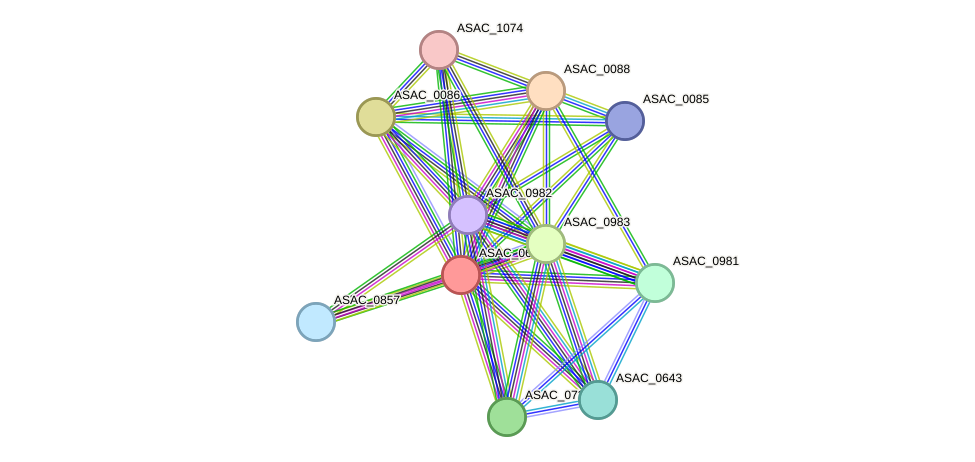 STRING protein interaction network