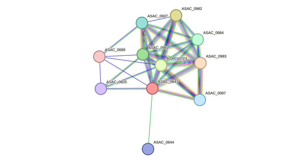 STRING protein interaction network